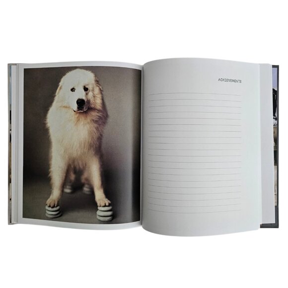 My Dog Record Book By Rachael Hale | Hardcover | NWT | Gray Red - Picture 4 of 12
